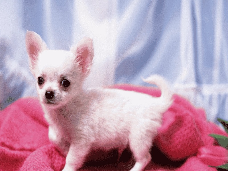 无锡妇幼试管潇潇，试管婴儿偏方