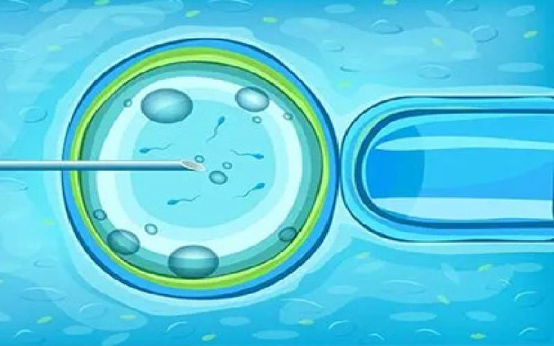 东莞妇幼试管糖果代生